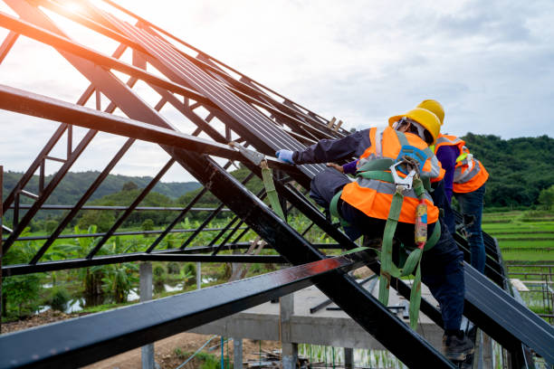 Best Roof Maintenance Services  in Fort Lewis, WA