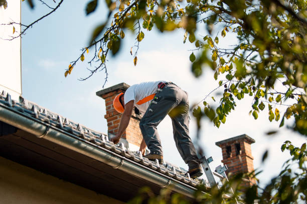 Best Roof Restoration Services  in Fort Lewis, WA