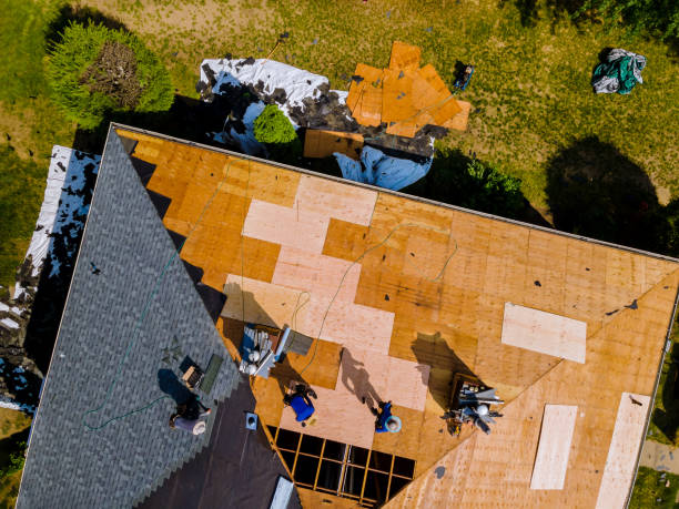 Best Residential Roofing Contractor  in Fort Lewis, WA