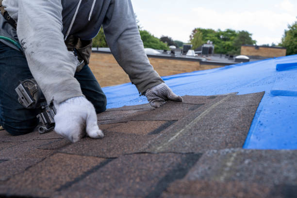 Best Shingle Roofing Installation  in Fort Lewis, WA